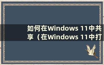 如何在Windows 11中共享（在Windows 11中打开网络共享）